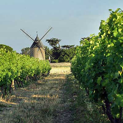 Camping 3 étoiles La Tremblade | Découvrir la Charente-Maritime