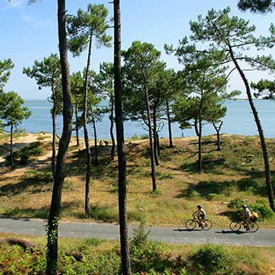 Camping 3 étoiles La Tremblade | Découvrir la Charente-Maritime